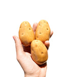 objet d’art: “Yukon Look, But Don’t Touch” hanging potatoes